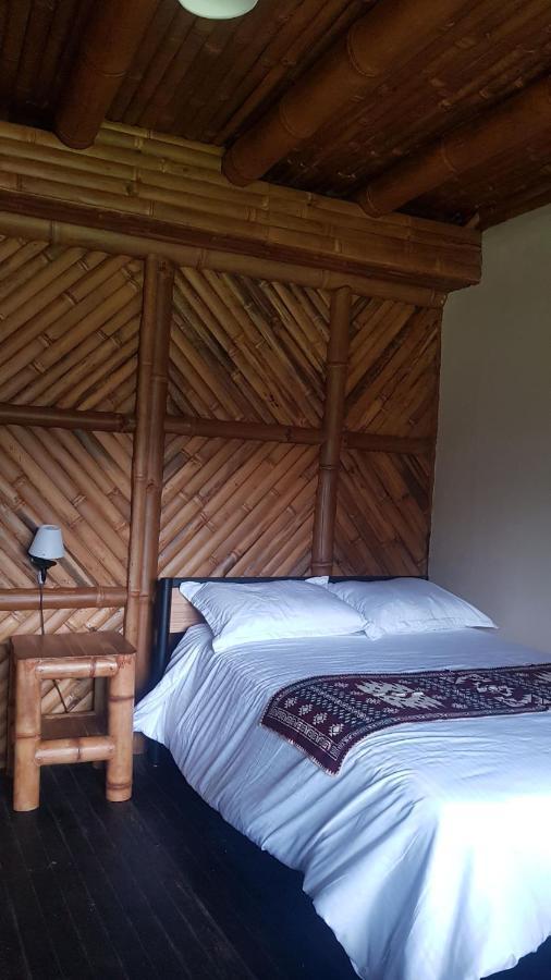 Golden Tree Mindo Eco-Lodge Eksteriør billede