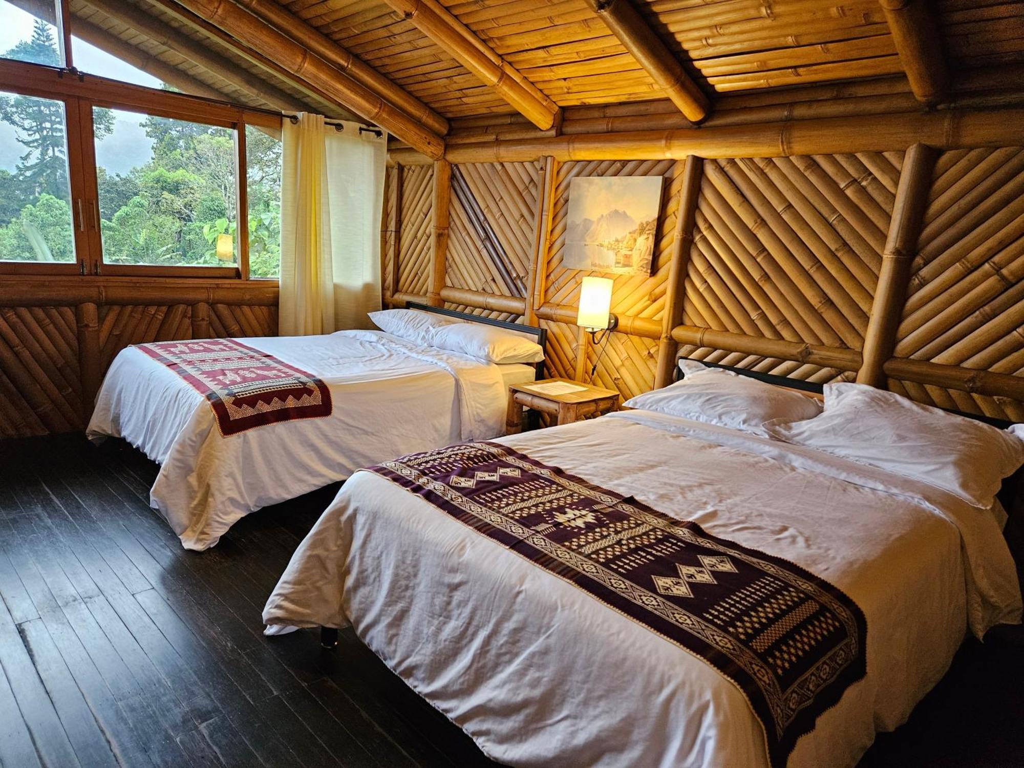 Golden Tree Mindo Eco-Lodge Eksteriør billede