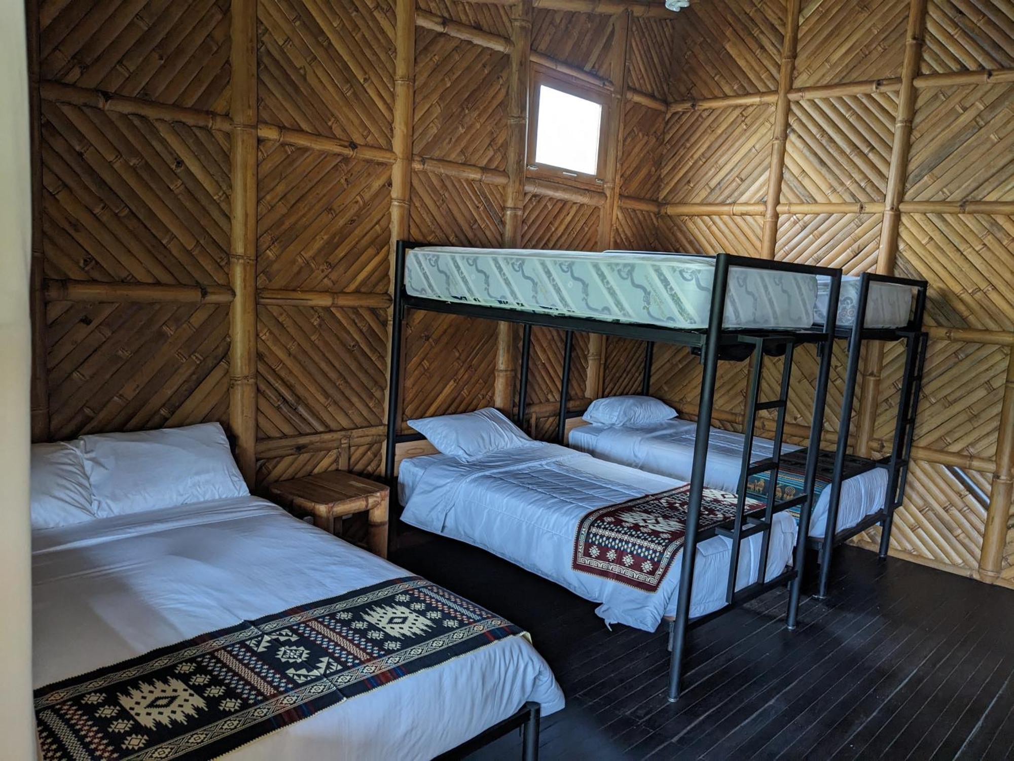Golden Tree Mindo Eco-Lodge Eksteriør billede