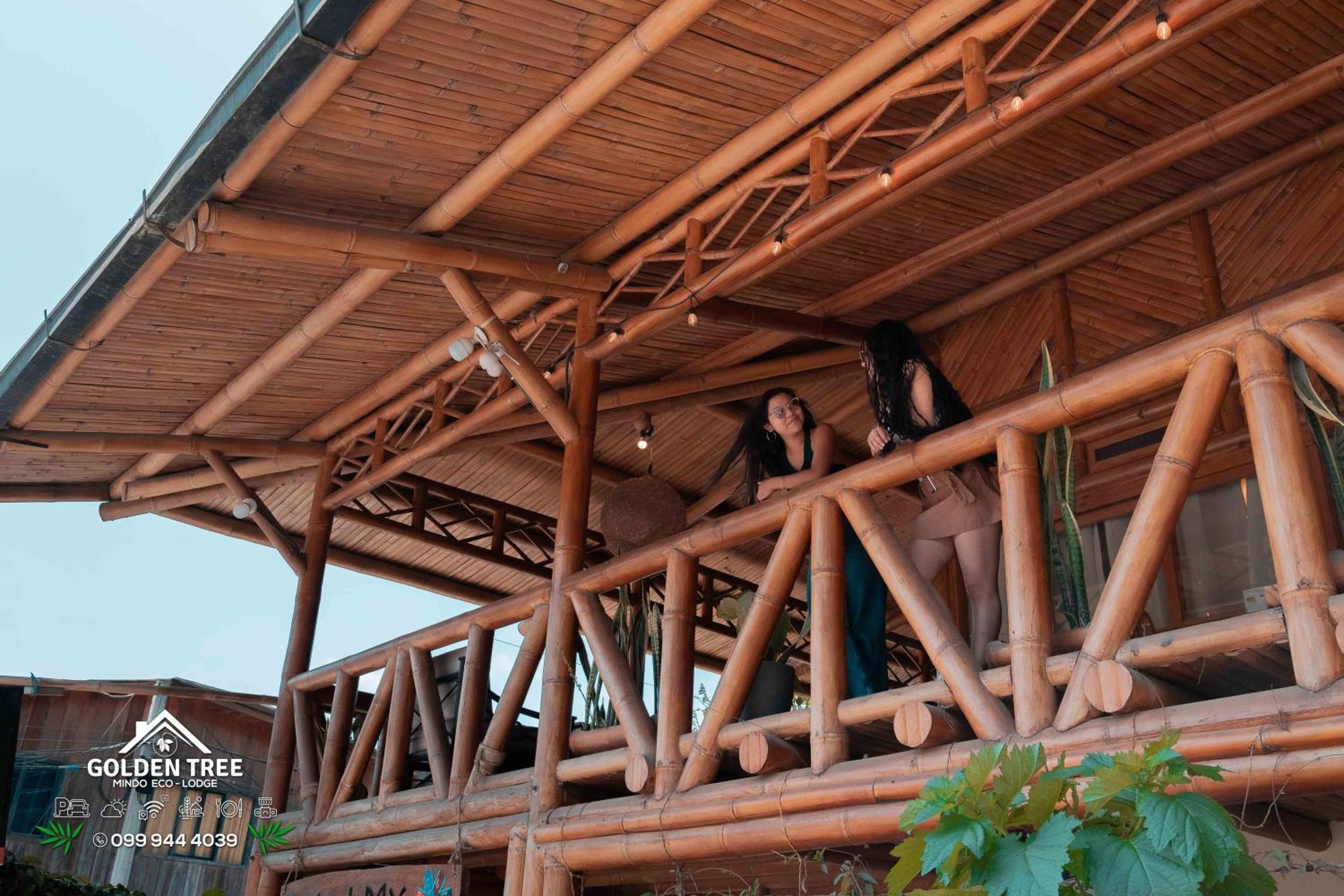 Golden Tree Mindo Eco-Lodge Eksteriør billede